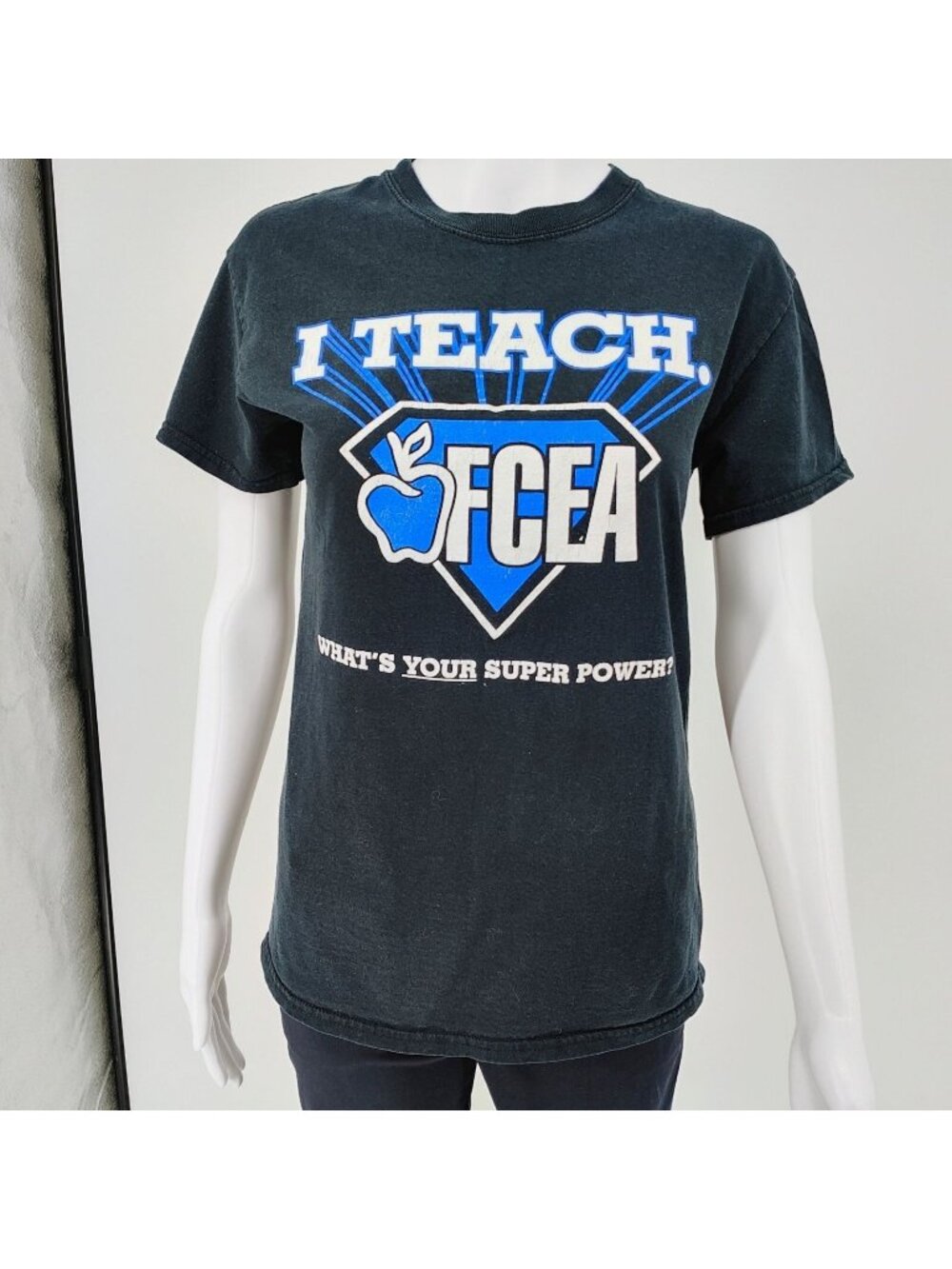 Fayette County Education Association "I Teach" Lexington, KY T-Shirt (S) *Fair*